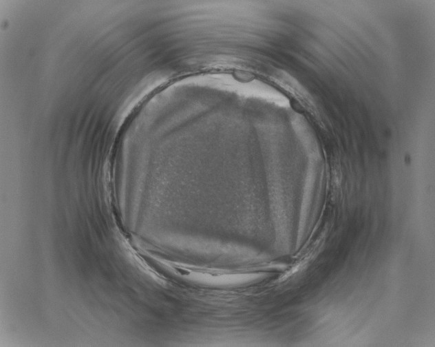 X0000062920798200602101855
