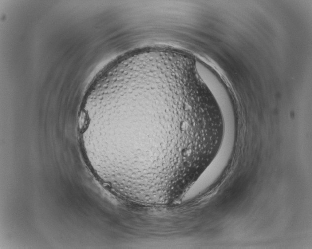 X0000062920799200602101855