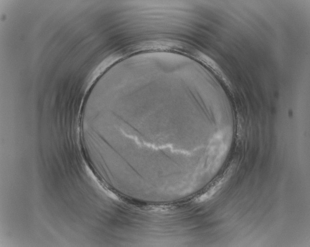 X0000062920802200602101855