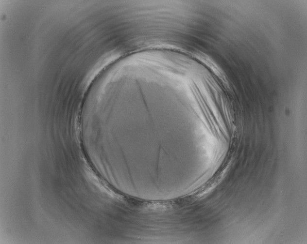 X0000062920806200602101855