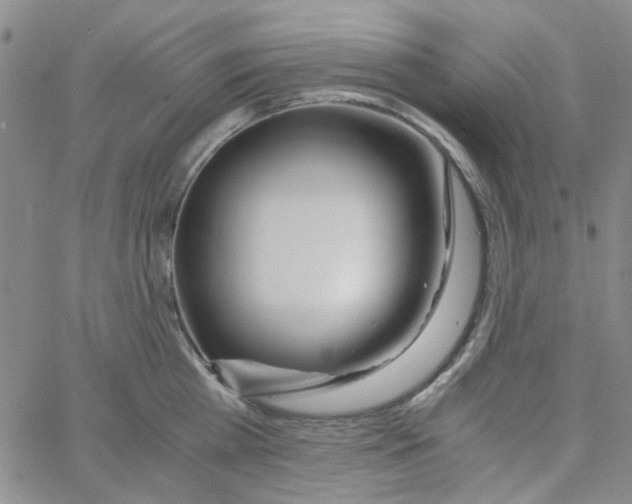 X0000062920809200602101855