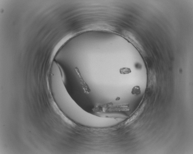 X0000062920812200602101855
