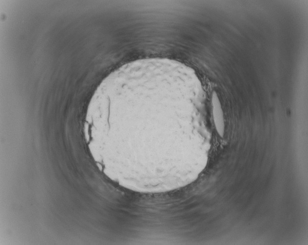 X0000062920817200602101854
