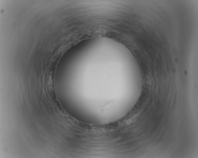 X0000062920818200602101854