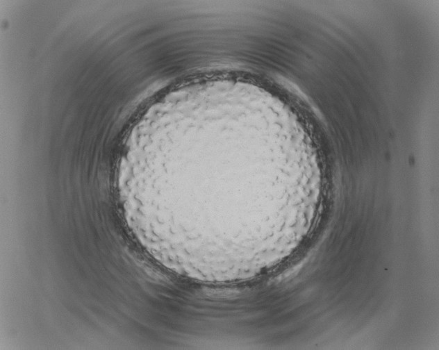 X0000062920825200602101855