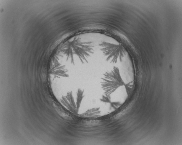 X0000062920833200602101855