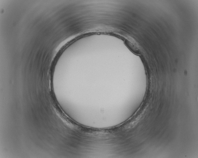 X0000062920838200602101855