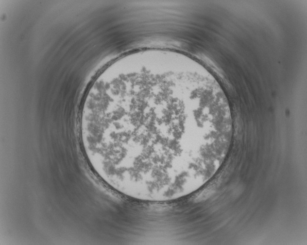 X0000062920848200602101855