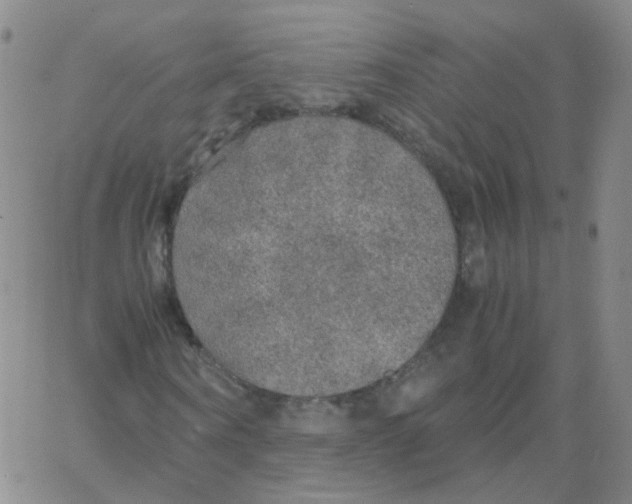 X0000062920866200602101854