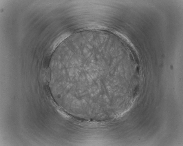 X0000062920889200602101854