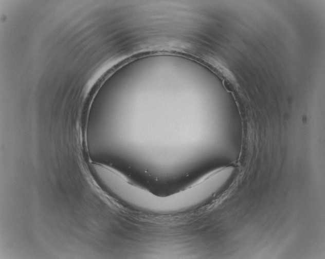 X0000062920936200602101853