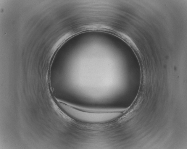 X0000062920946200602101853
