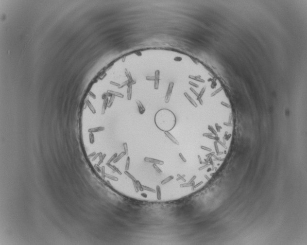 X0000062920950200602101853