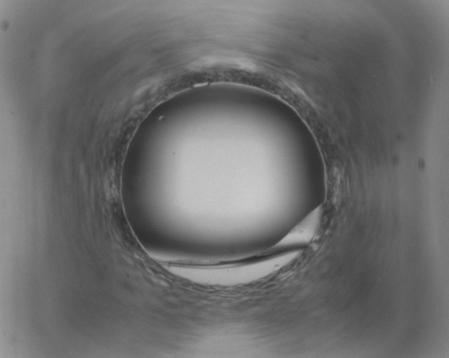 X0000062920965200602101853