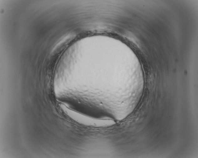 X0000062920967200602101853