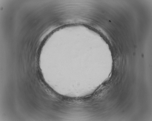 X0000062920975200602101853