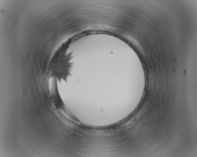 X0000062920976200602101853
