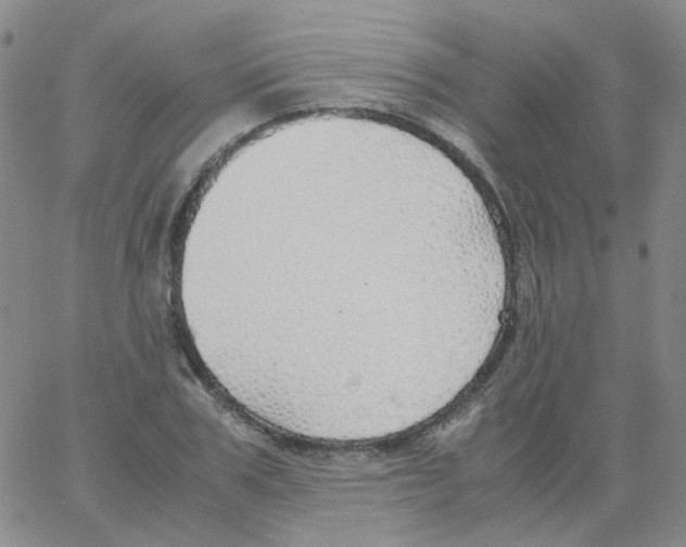 X0000062920979200602101853