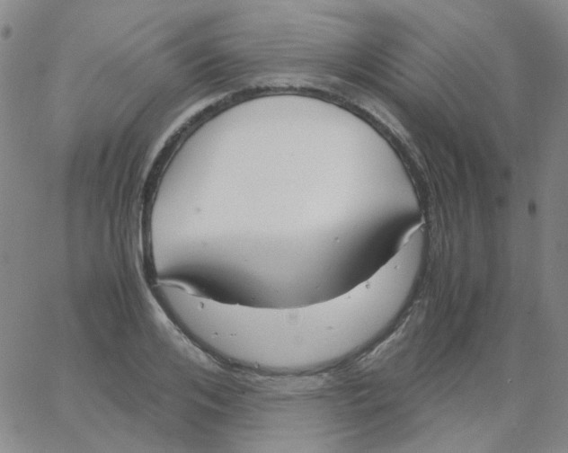X0000062920984200602101852
