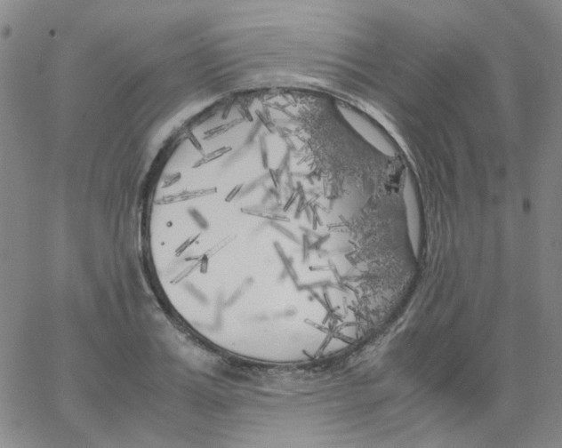 X0000062920987200602101852