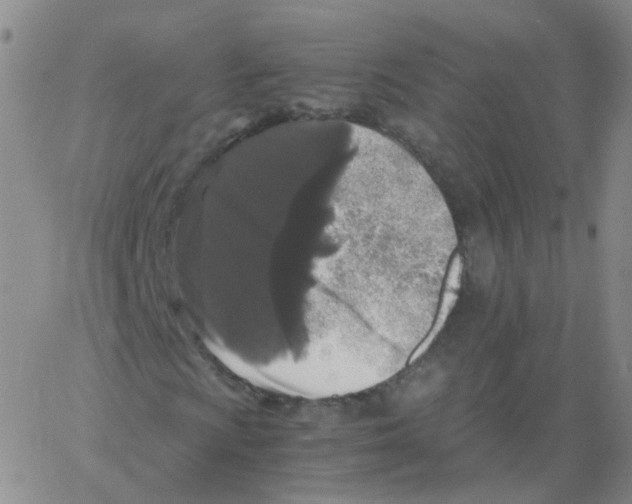 X0000062921009200602101851