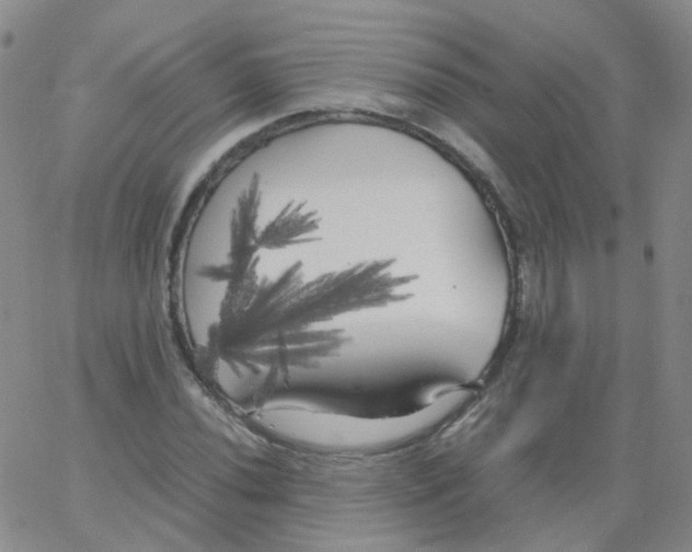 X0000062921020200602101851