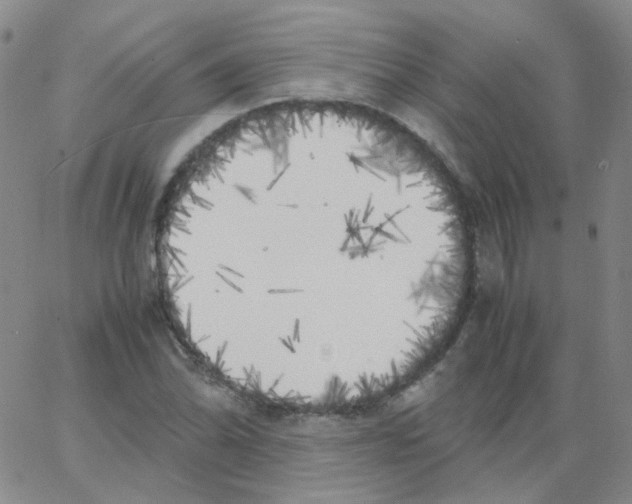 X0000062921070200602101851