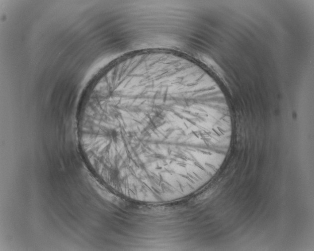 X0000062921072200602101851