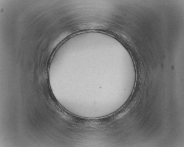 X0000062921073200602101851