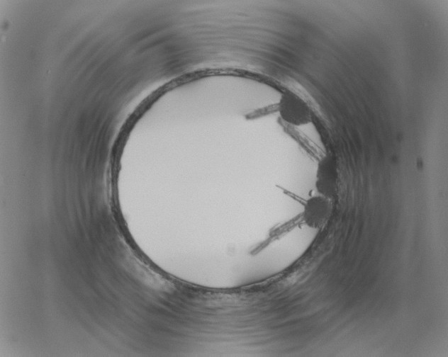 X0000062921076200602101851