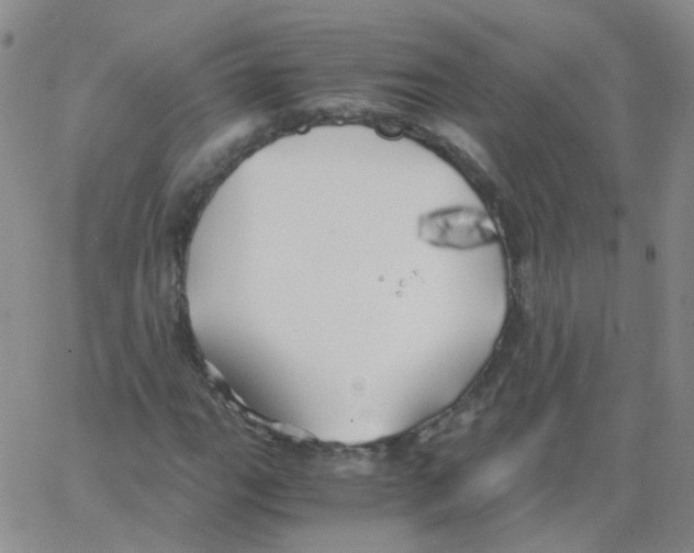 X0000062921111200602101850