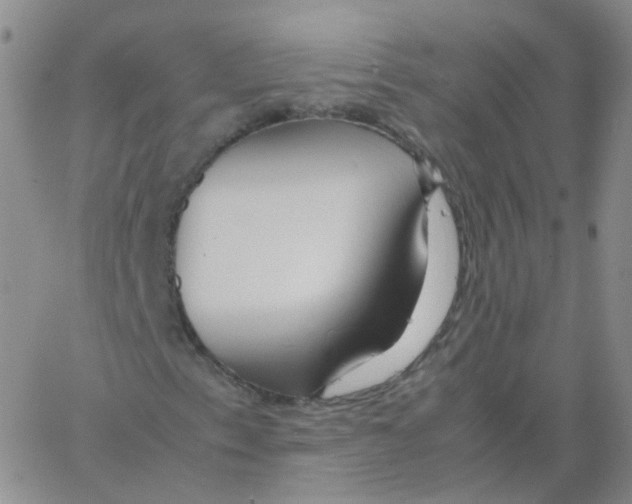 X0000062921153200602101850