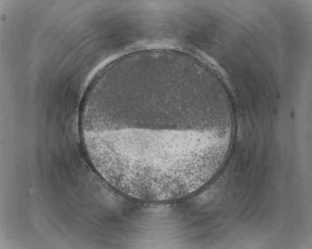 X0000062921174200602101849