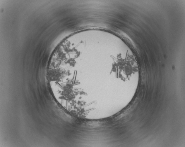 X0000062921182200602101849