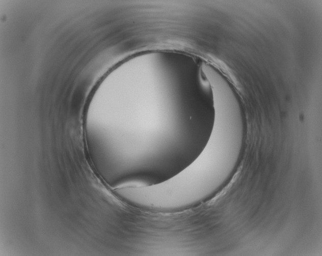 X0000062921184200602101849