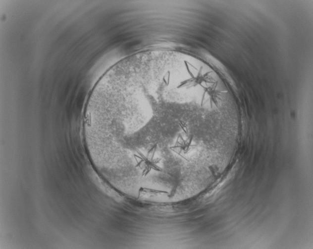 X0000062921194200602101849