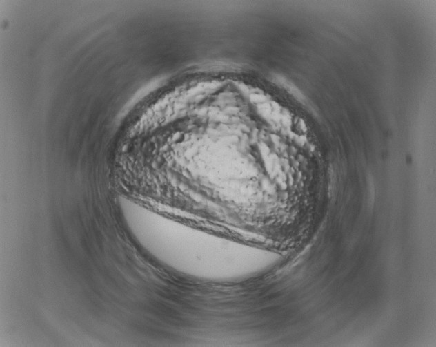 X0000062921213200602101848