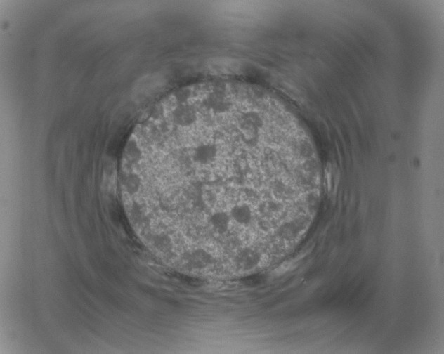 X0000062921251200602101848