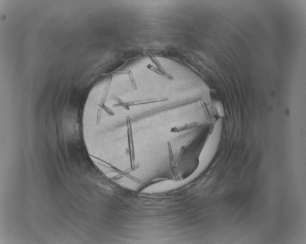 X0000062921252200602101848