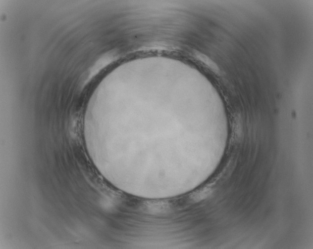 X0000062921258200602101848