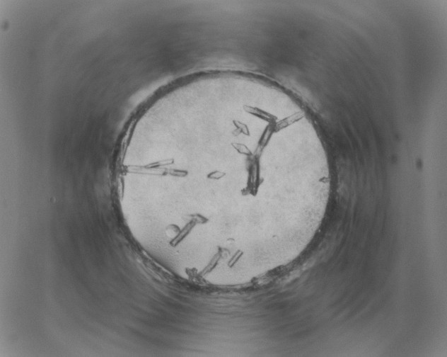 X0000062921264200602101848