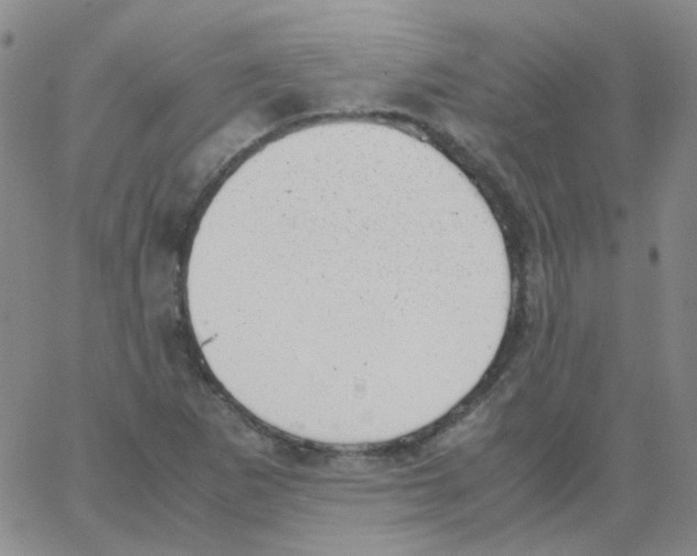 X0000062921265200602101848