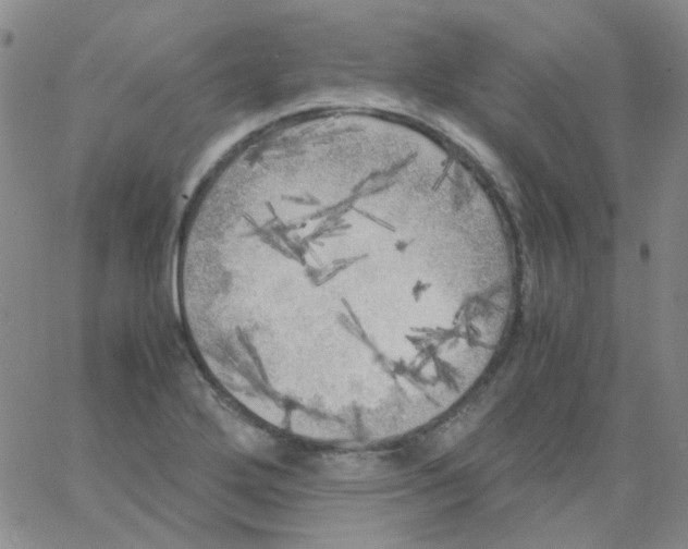 X0000062921272200602101848