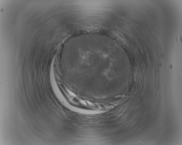 X0000062921298200602101847