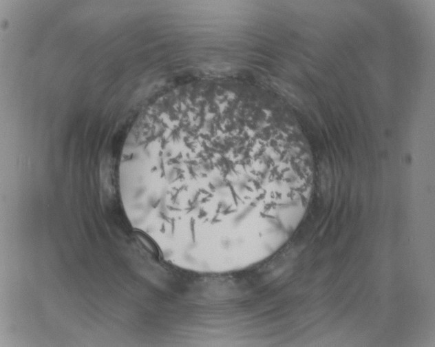 X0000062921346200602101847