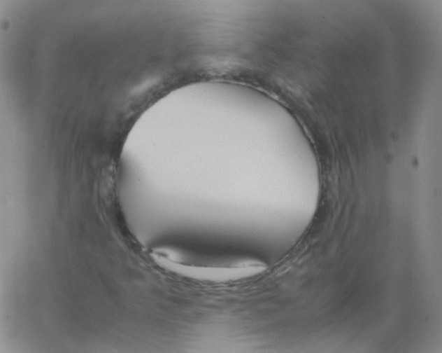 X0000062921349200602101846