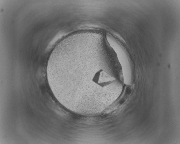 X0000062921355200602101846