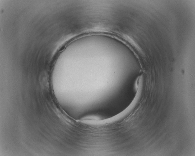 X0000062921356200602101846