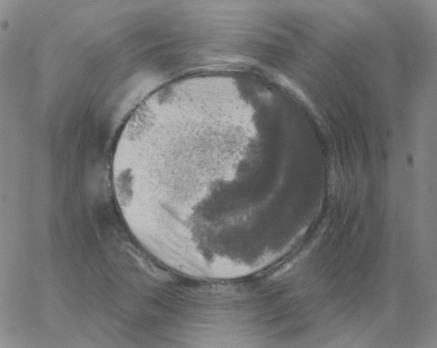 X0000062921362200602101846