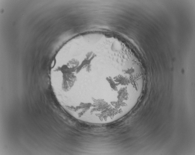 X0000062921363200602101846